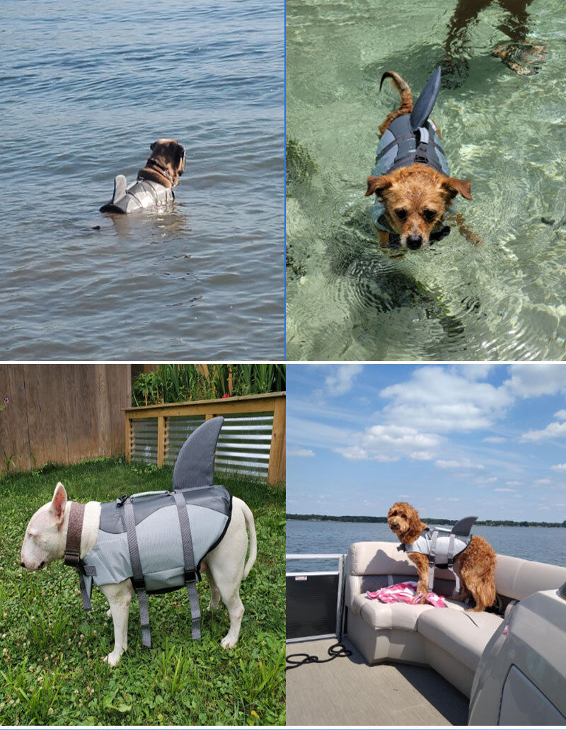 Pet products Dog Life Jacket, Cute Shark Dog Life Vest for Swimming Boating with Superior Buoyancy and Rescue Handle, Adjustable Puppy Floating Swim Vest for Small Medium Large Dogs(S)