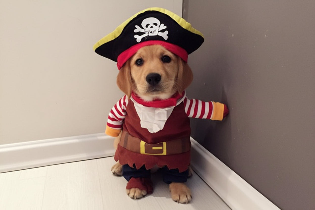 Pirate Dog Costume with Hat – Premium Pet Apparel