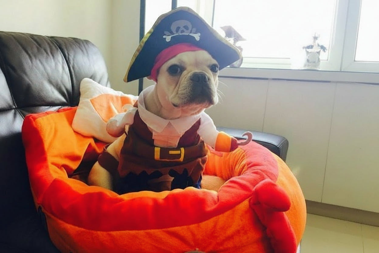 Pirate Dog Costume with Hat – Premium Pet Apparel