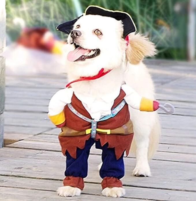 Pirate Dog Costume with Hat – Premium Pet Apparel