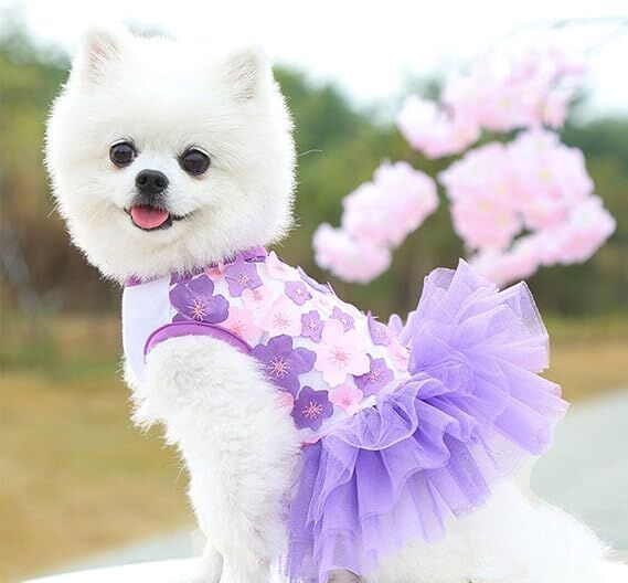 Dog Dress 3-Pack - Small Breed Apparel with Bow Details