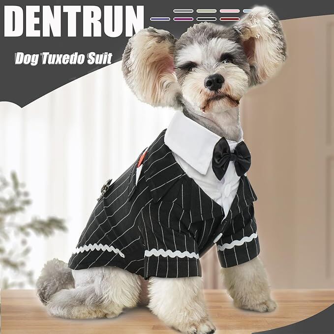 Dog Tuxedo Suit with Bow Tie – Formal Black & White Striped Outfit