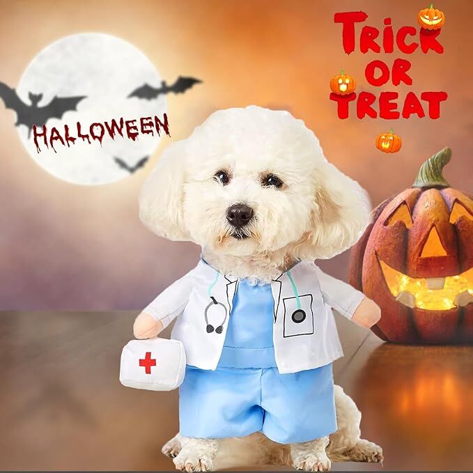 Dog Doctor Costume – Premium Halloween Outfit with Medical Accessories