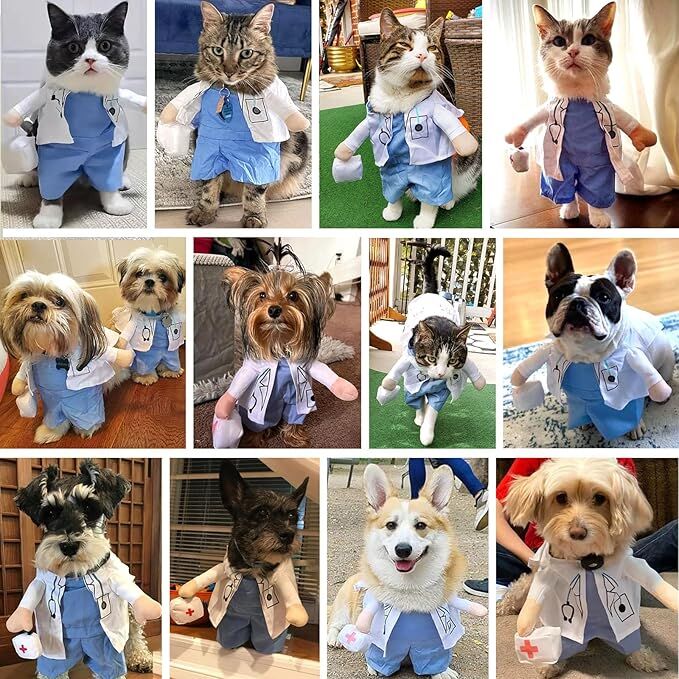 Dog Doctor Costume – Premium Halloween Outfit with Medical Accessories