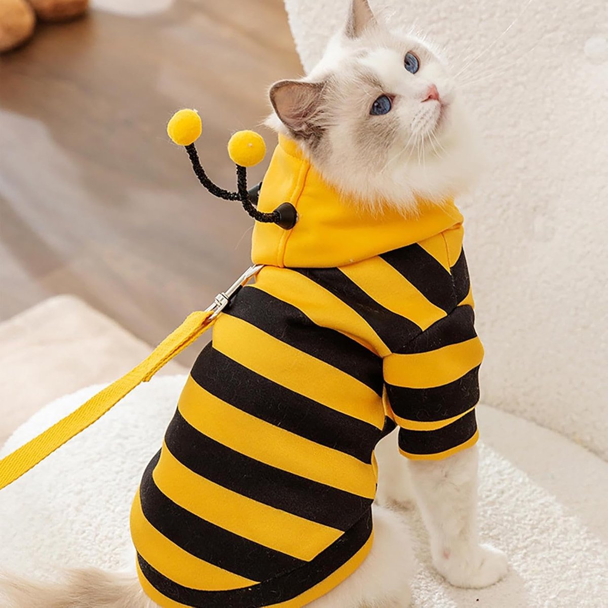 Bee Cat Costume - Small Hooded Set for Dog and Cat - Halloween Pet Costume