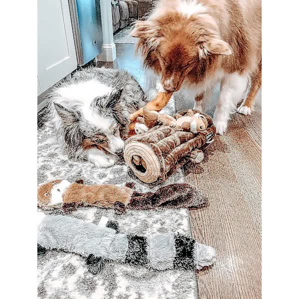 Squeaky Dog Toys 3-Pack - No Stuffing, No Mess, All Chaos