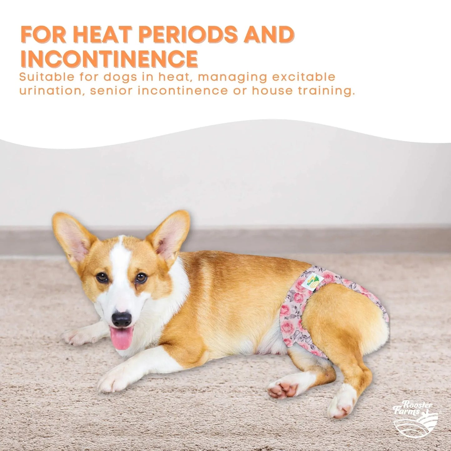 Reusable Dog Diapers 3-Pack | Washable Nappies for Female Dogs