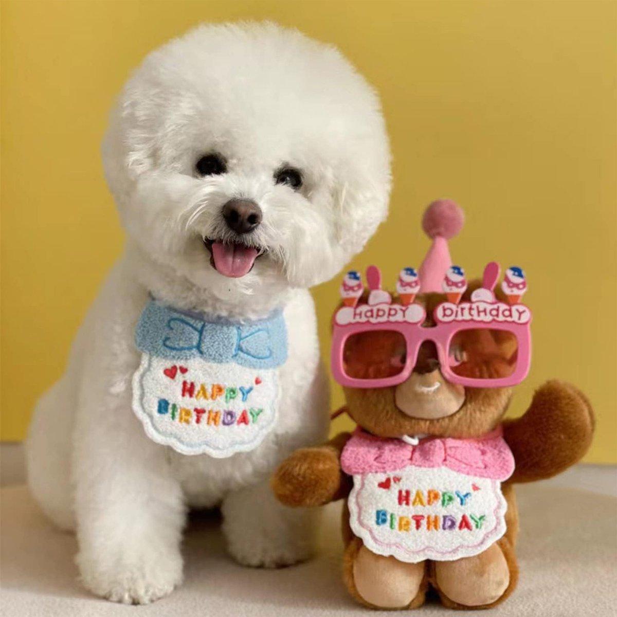 Pet Birthday Dog Cat Bib Scarf Hat Accessory Dogs Cats Celebration - Green