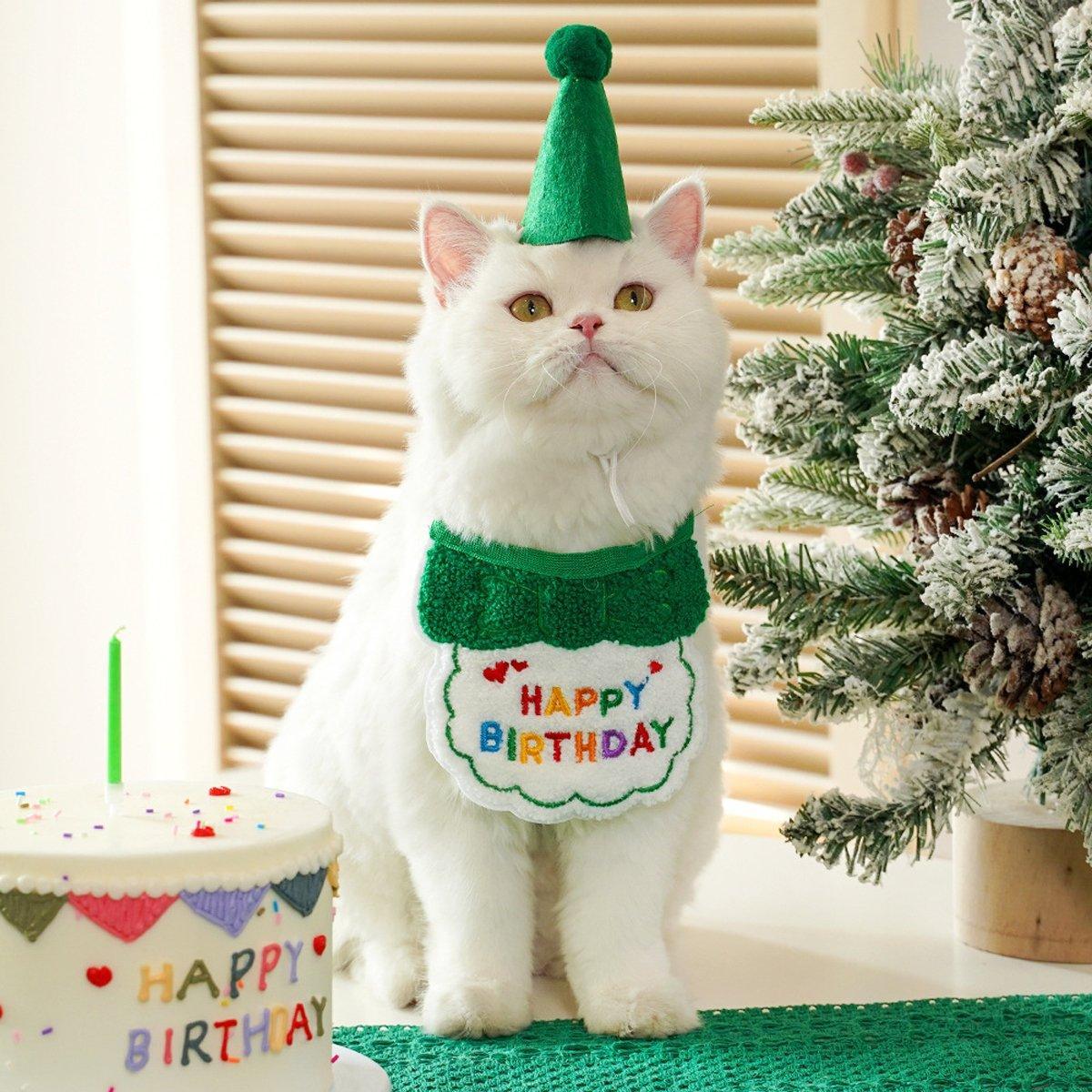 Pet Birthday Dog Cat Bib Scarf Hat Accessory Dogs Cats Celebration - Green