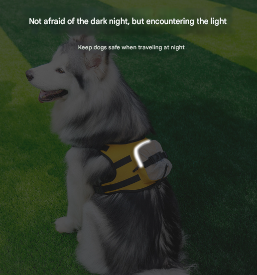 Dog Harness Vest with Backpack - Your Dog's Utility Belt for Adventures