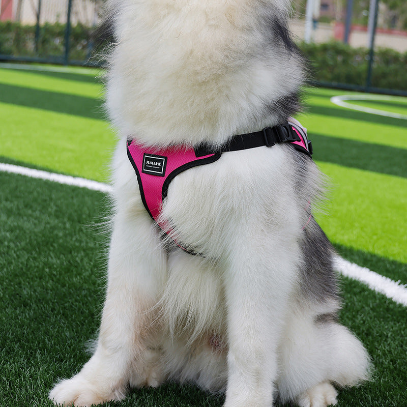 Dog Harness Vest with Backpack - Your Dog's Utility Belt for Adventures