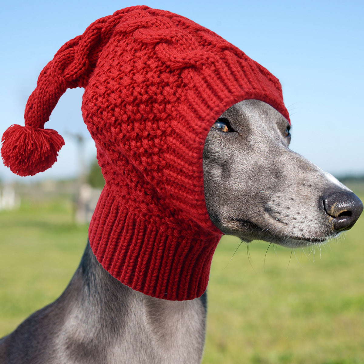 Size L Red Whimsical Knit Dog Hat with Pom-Pom - Cozy Winter Pet Beanie & Snood