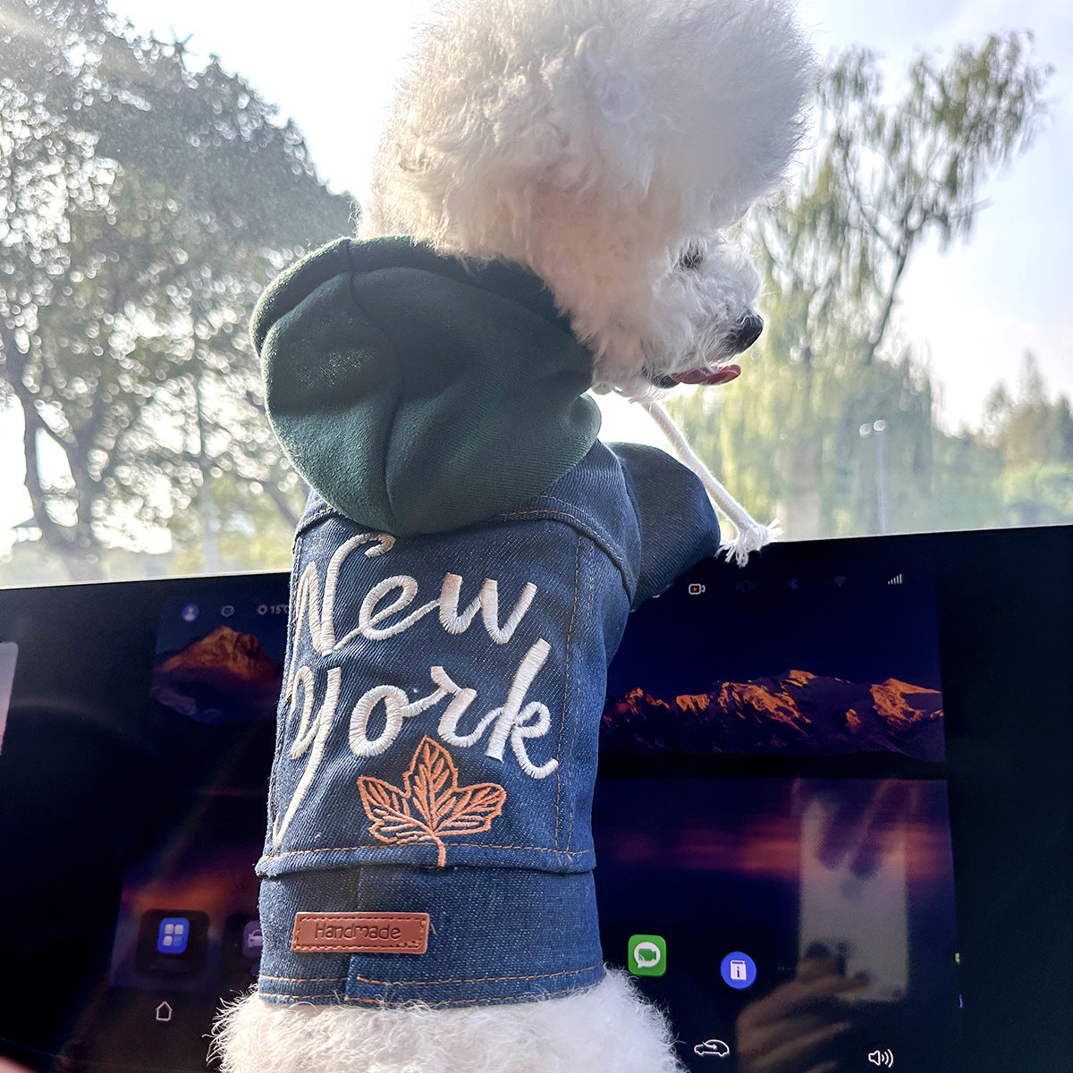 M Around 8kg New York Denim Chic Denim Pet Vest - Stylish Jean Jacket for Dogs & Cats - Spring, Summer & Autumn Fashion